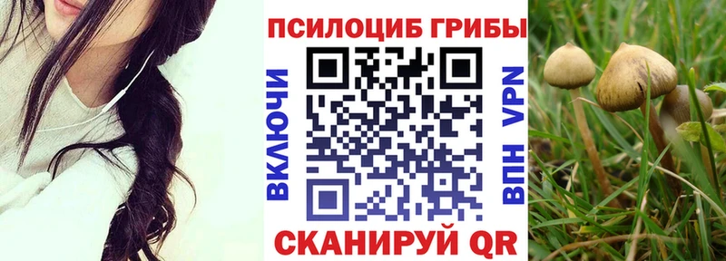 даркнет сайт  Ханты-Мансийск  Галлюциногенные грибы Magic Shrooms 